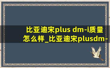 比亚迪宋plus dm-i质量怎么样_比亚迪宋plusdm-i质量怎么样新款